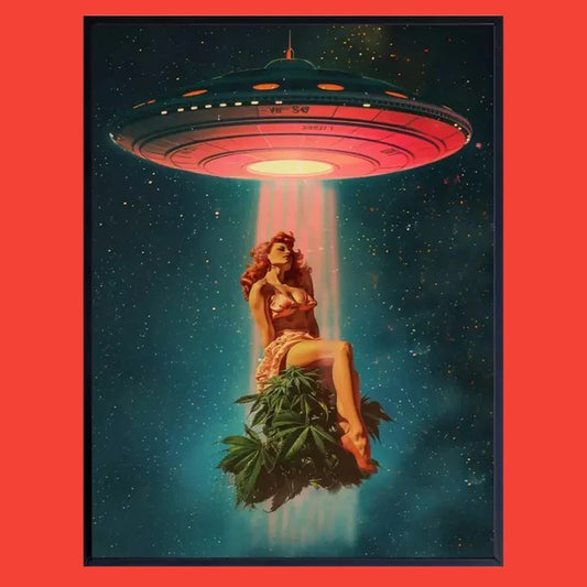 21 x 30cm unframed canvas art