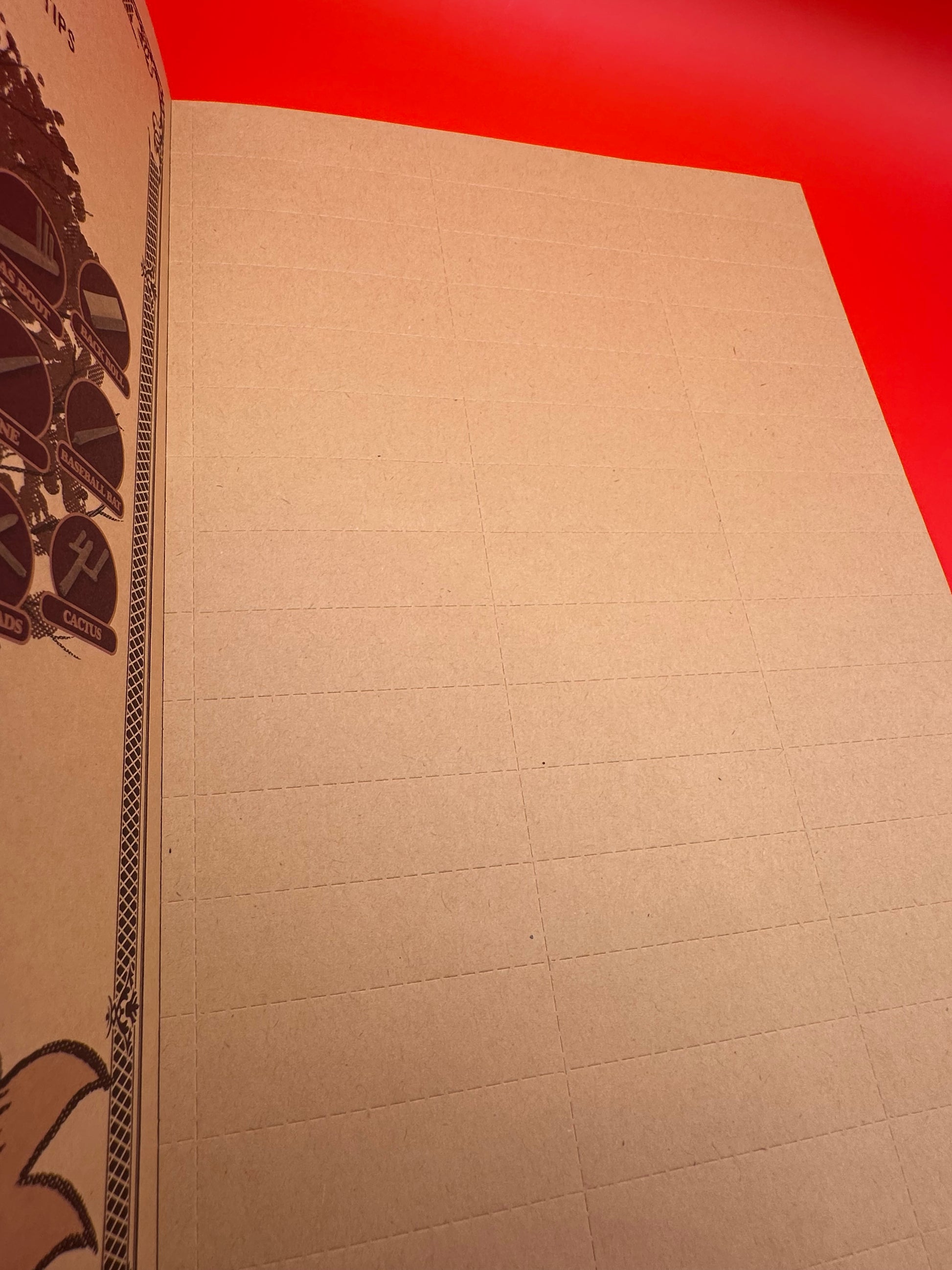 RAW Rawlbook Rolling Tips, filters